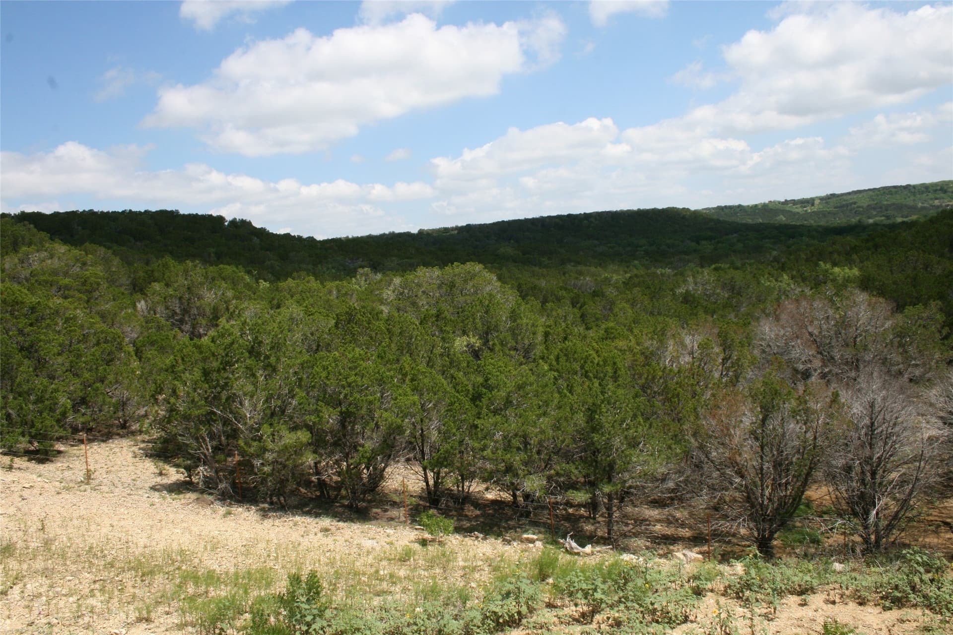 735.8 acres in Palo Pinto County - photo 10