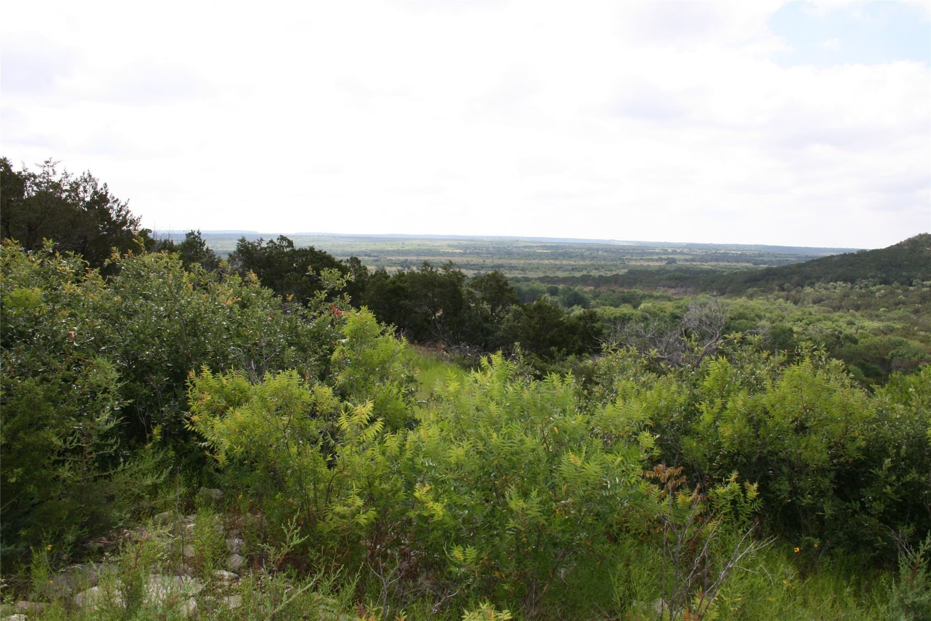735.8 acres in Palo Pinto County - photo 8
