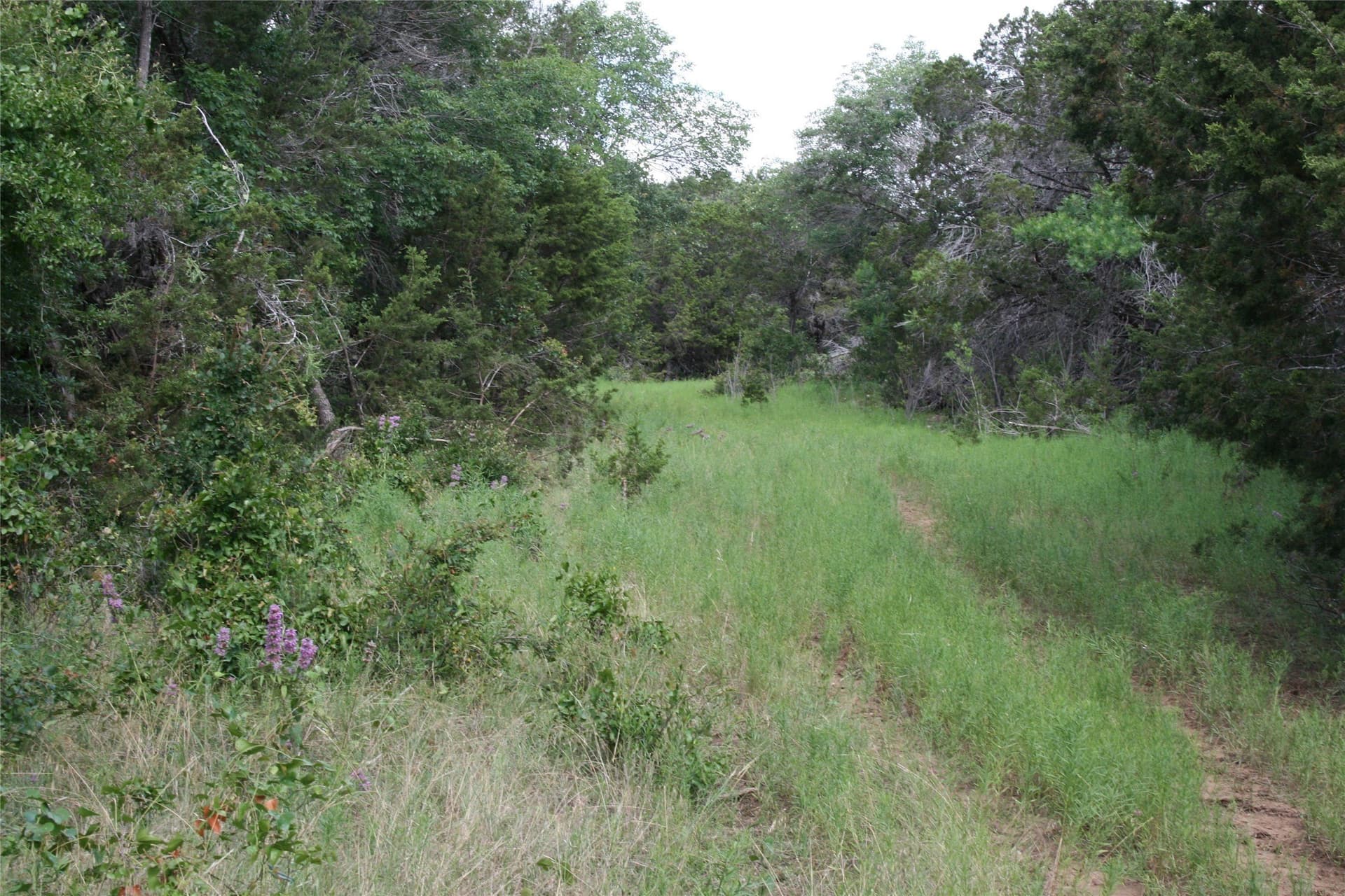 735.8 acres in Palo Pinto County - photo 6
