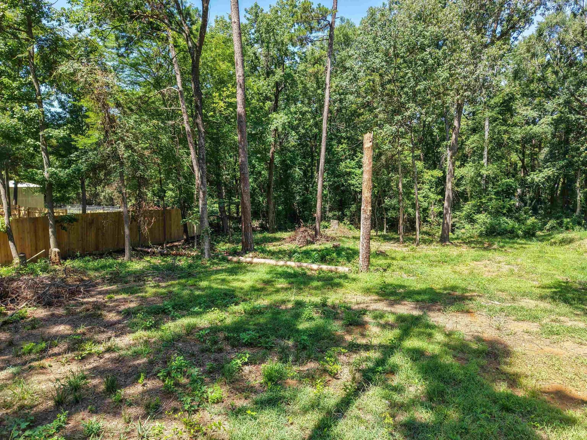 0.45 acres in Camp County gallery image 2