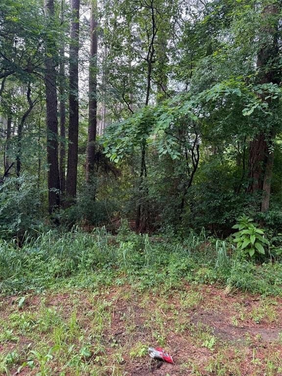 0.16 acres in Henderson County gallery image 2