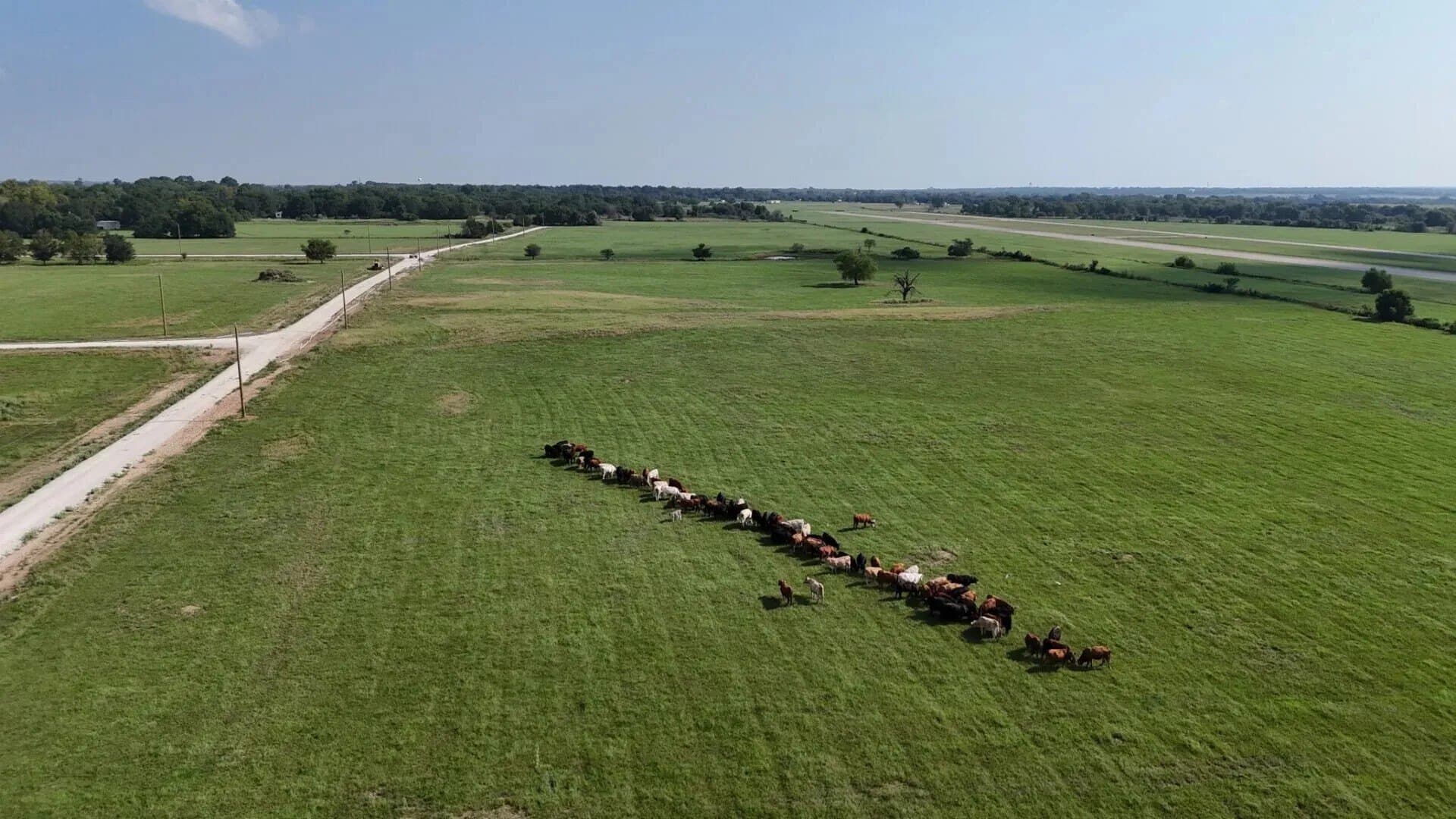 3.31 acres in Limestone County - photo 8
