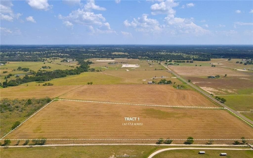 17.2 acres in Burleson County gallery image 4
