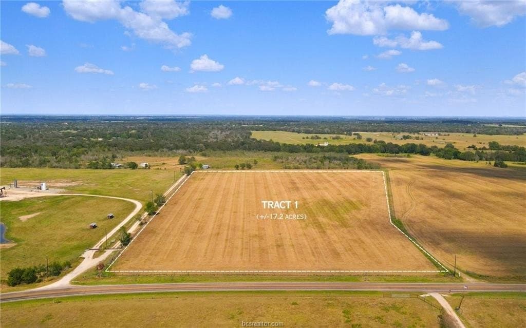 17.2 acres in Burleson County gallery image 2