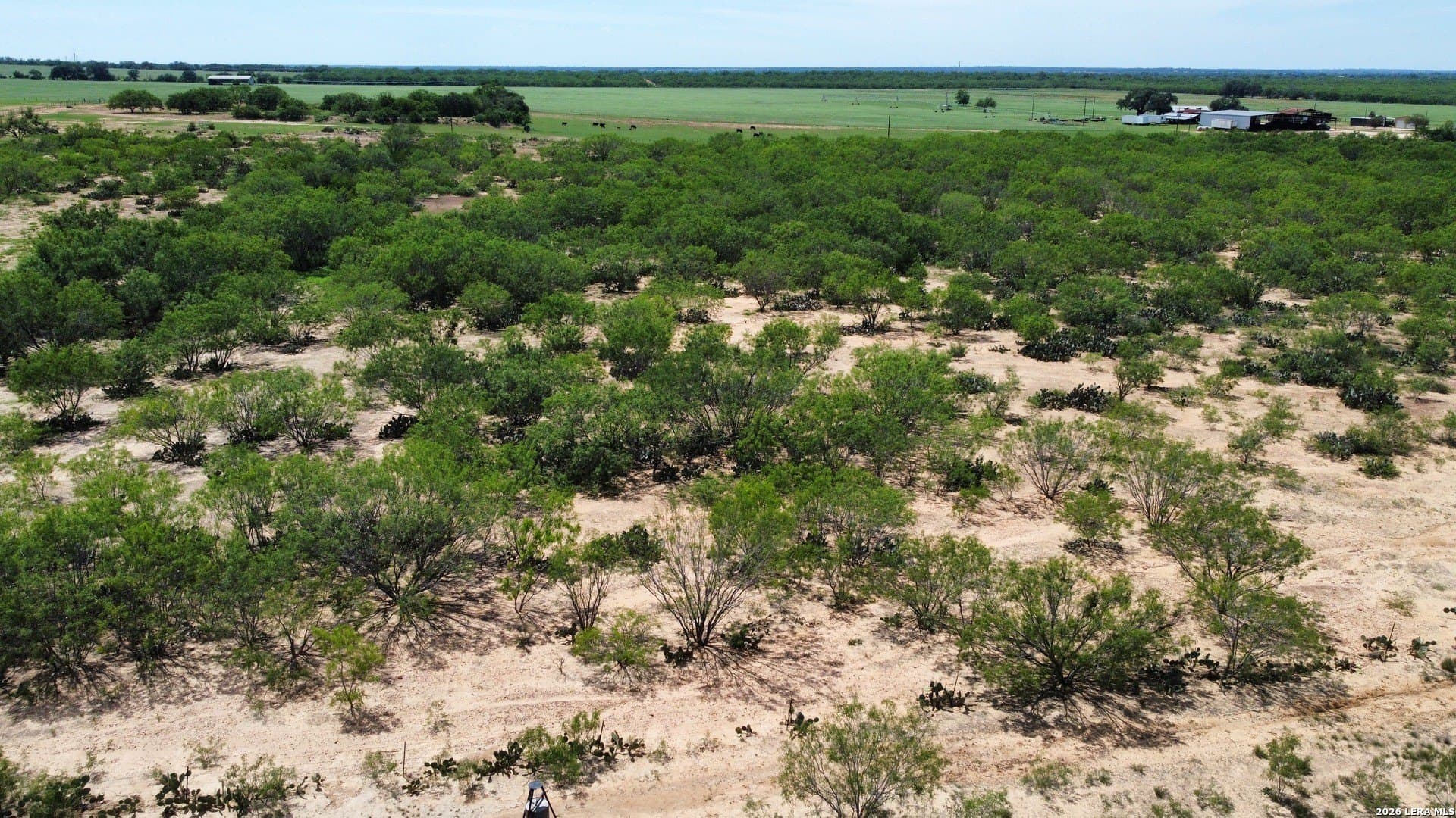 38.69 acres in Frio County - photo 12