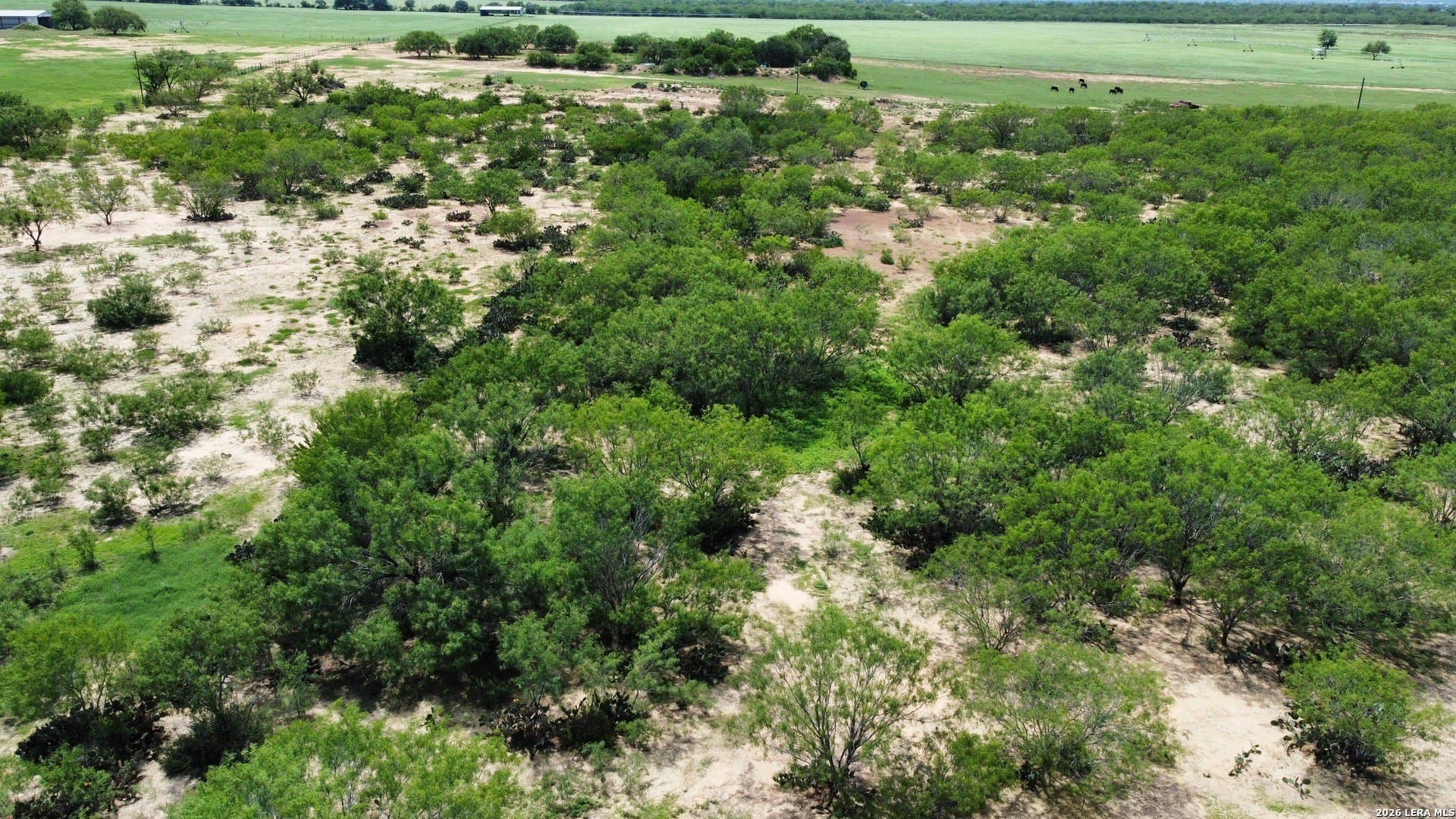 38.69 acres in Frio County - photo 15
