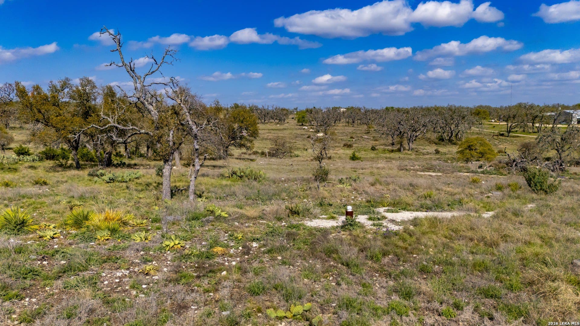 10.02 acres in Gillespie County - photo 14