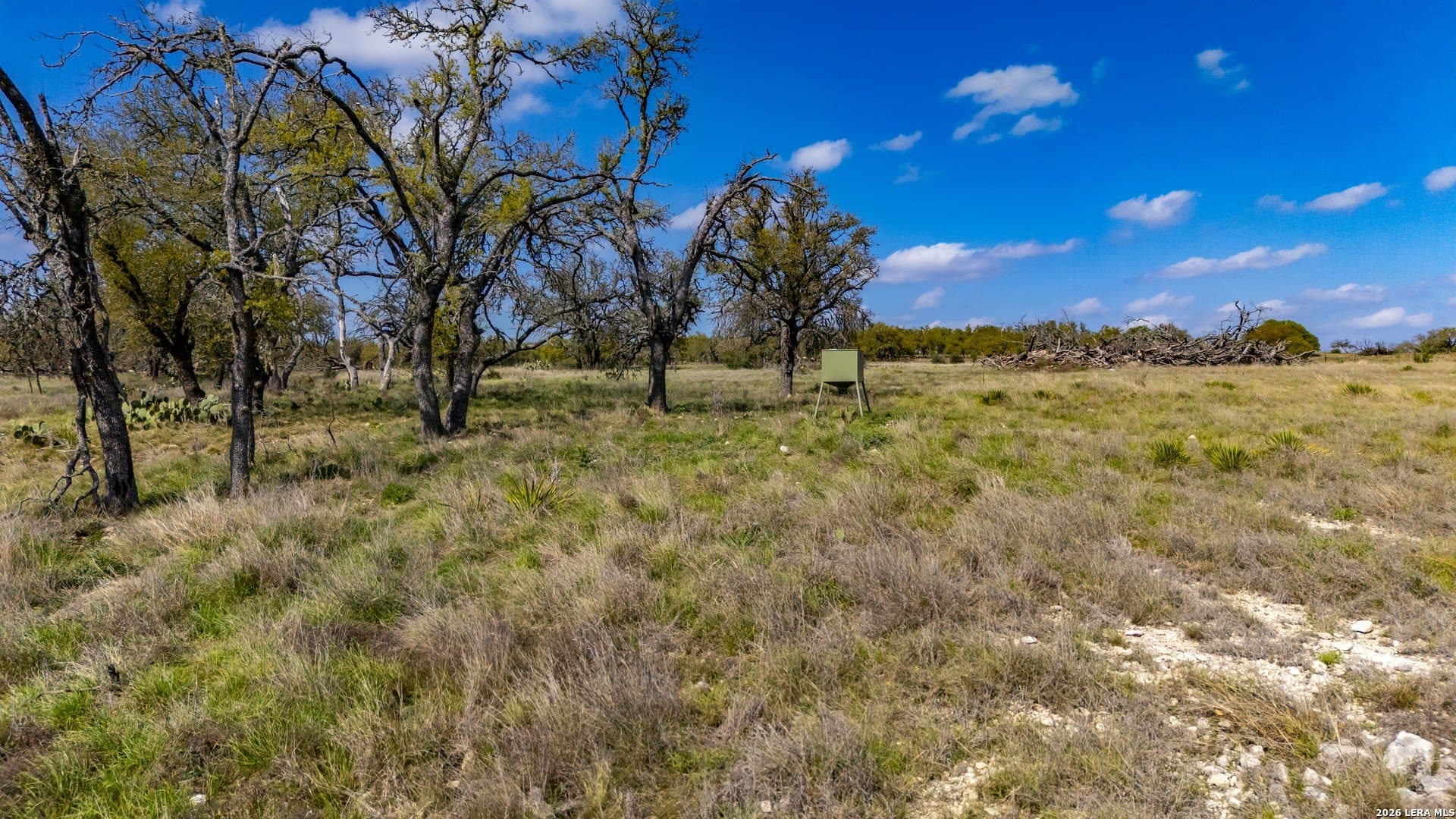 10.02 acres in Gillespie County - photo 17