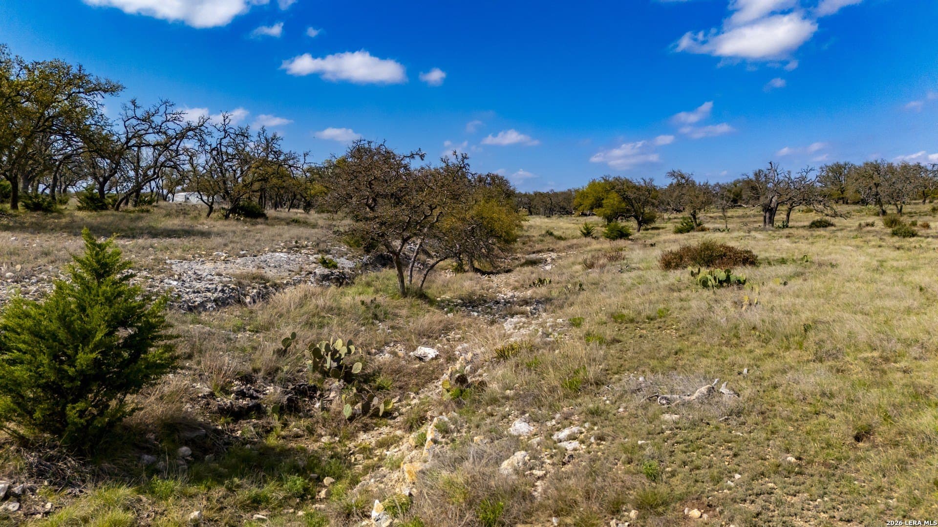 10.02 acres in Gillespie County - photo 16