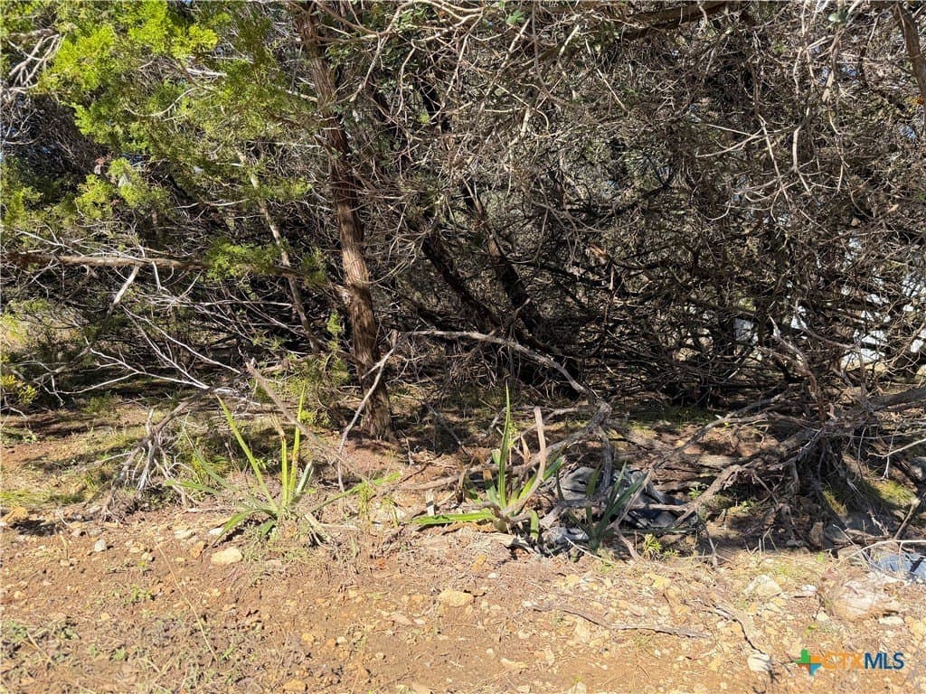 0.27 acres in Comal County - photo 9