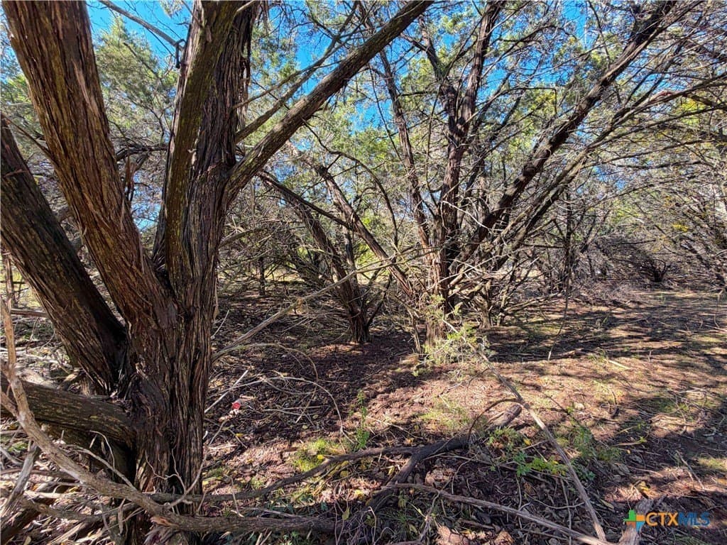 0.27 acres in Comal County - photo 7