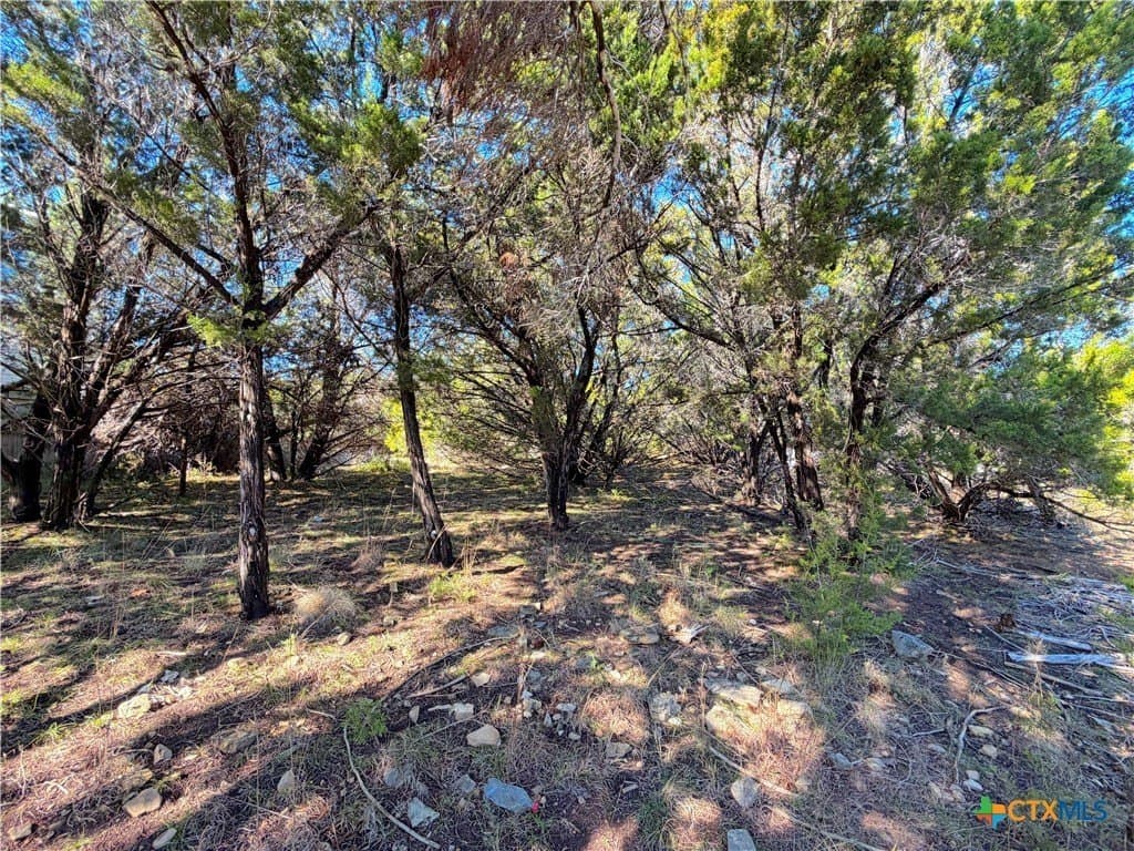 0.27 acres in Comal County - photo 12