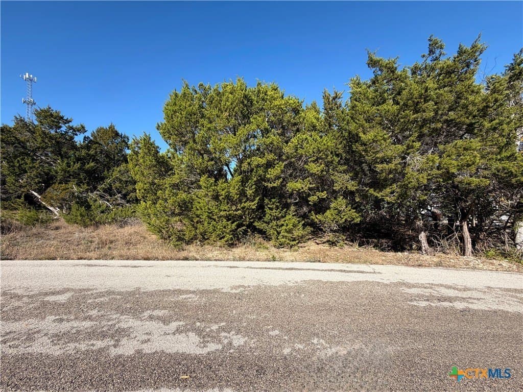0.27 acres in Comal County gallery image 3