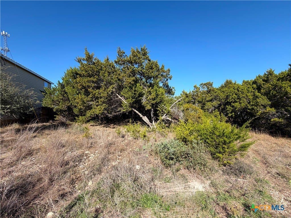 0.27 acres in Comal County gallery image 4