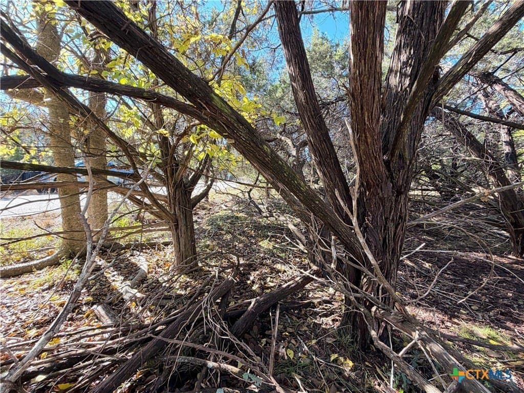 0.27 acres in Comal County - photo 8