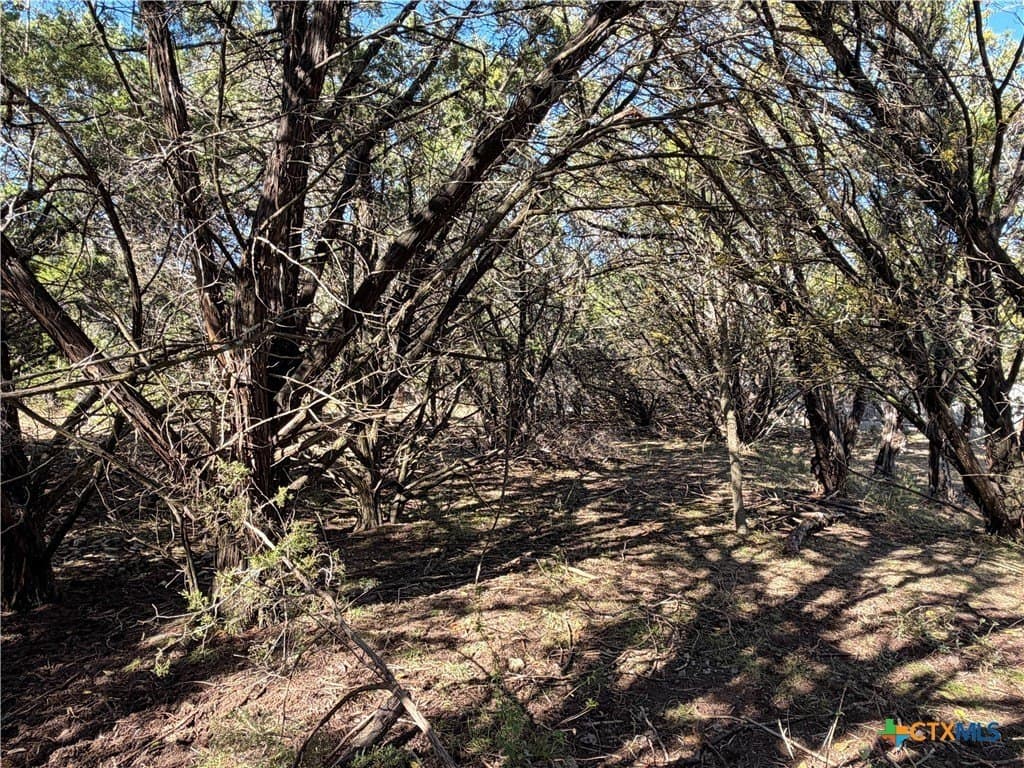 0.27 acres in Comal County - photo 6