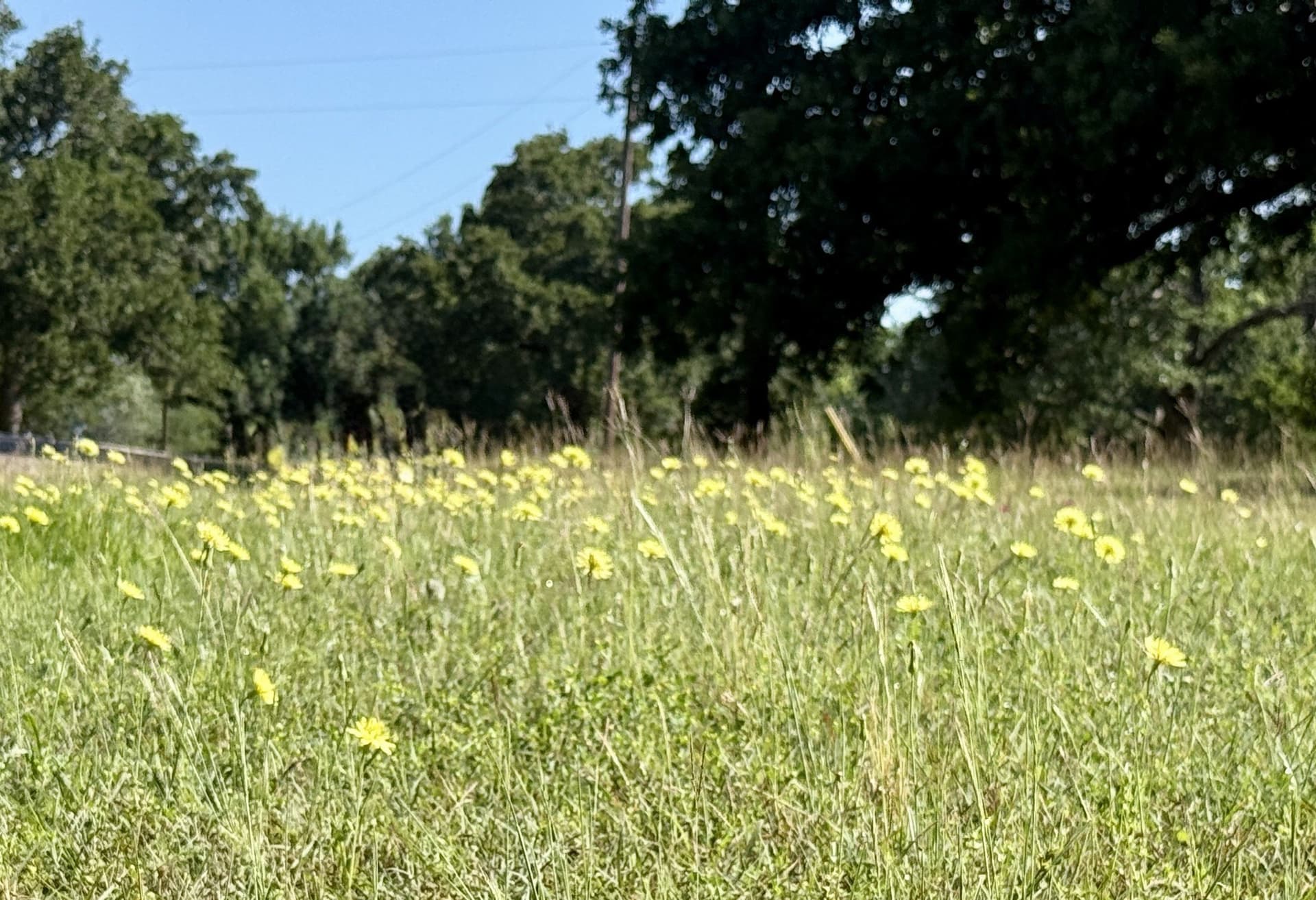 0.58 acres in Navarro County - photo 20
