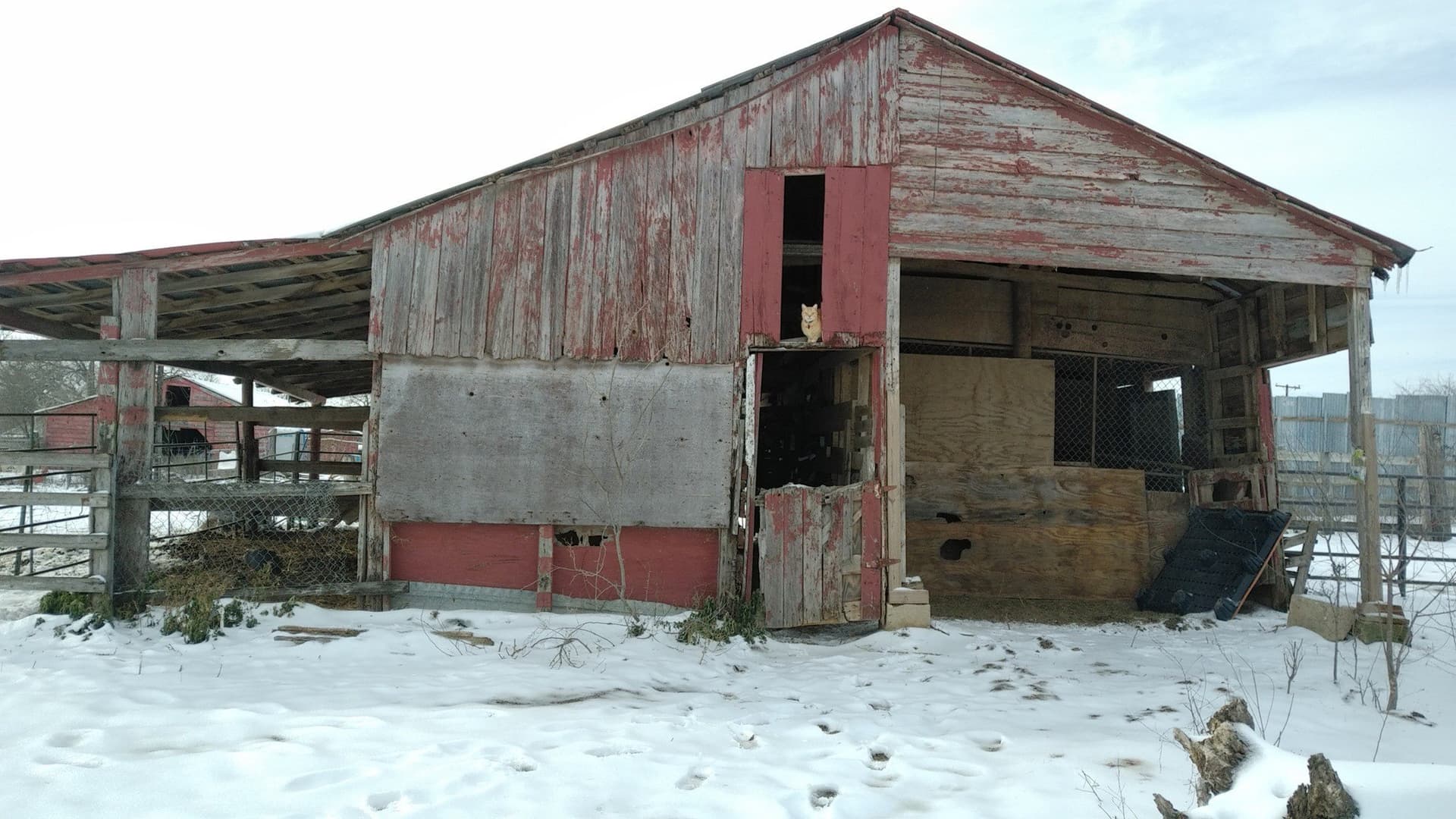 13.18 acres in Dallas County - photo 7