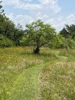 13.18 acres in Dallas County - photo 3