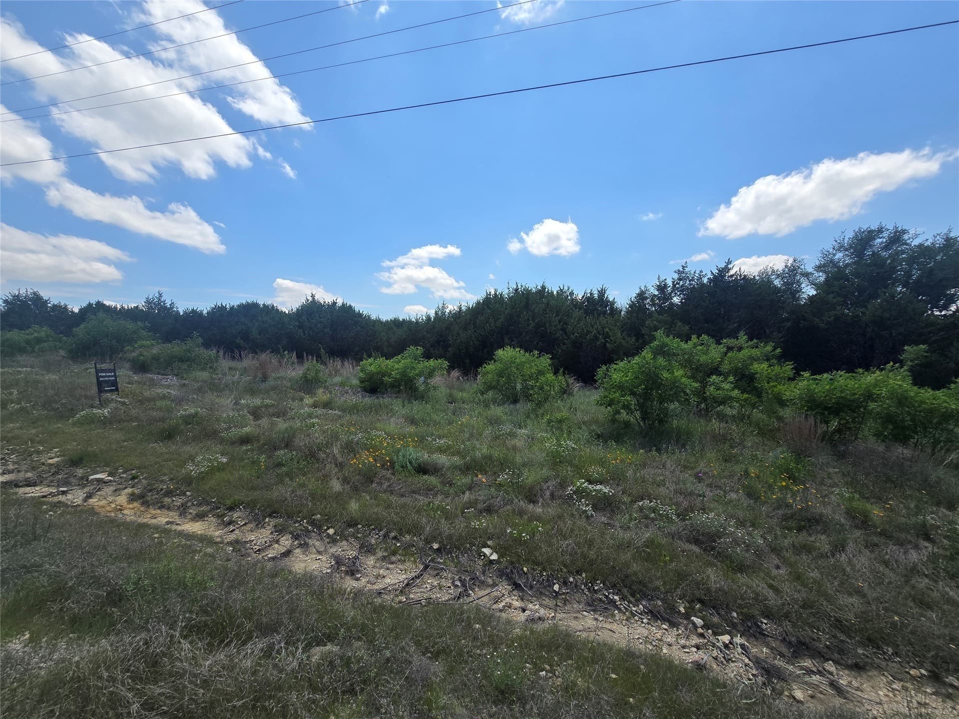 2.18 acres in Erath County - photo 12