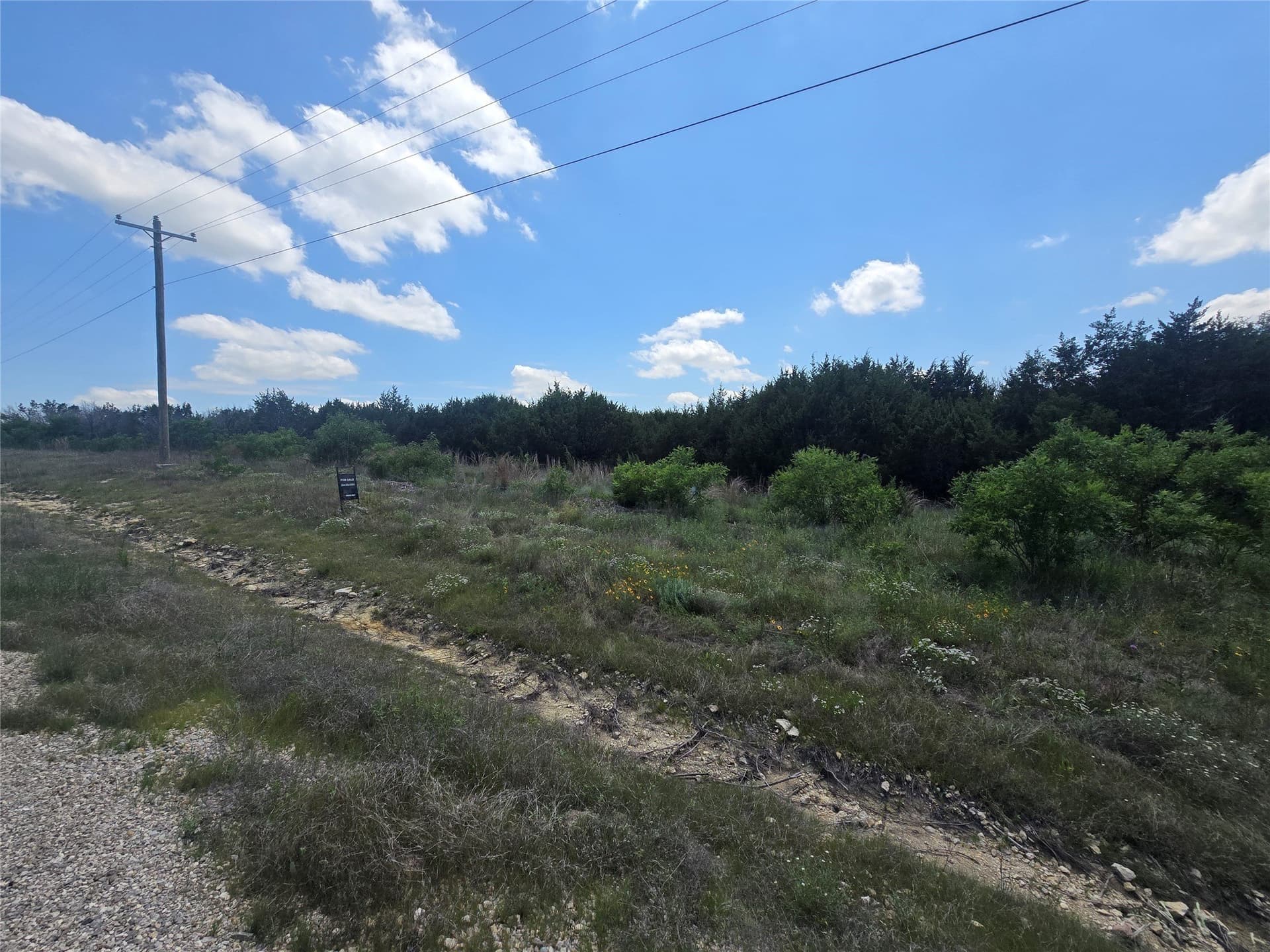2.18 acres in Erath County - photo 4