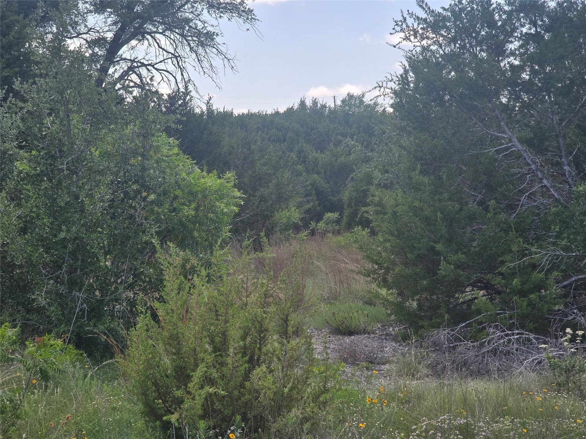 2.18 acres in Erath County - photo 11