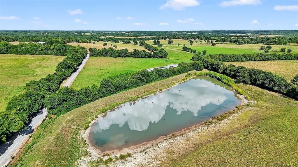 31.27 acres in Fannin County gallery image 4