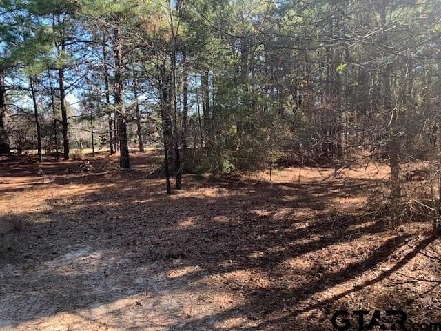 54.58 acres in Smith County gallery image 4