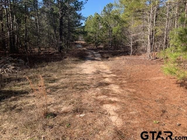 54.58 acres in Smith County featured view