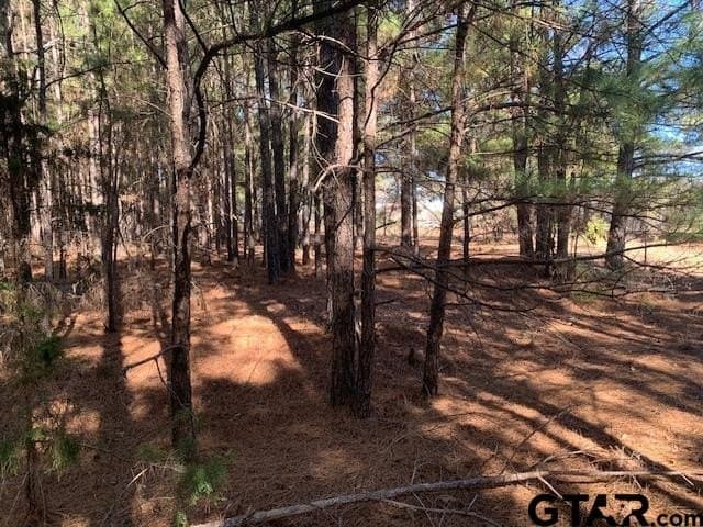 54.58 acres in Smith County gallery image 3