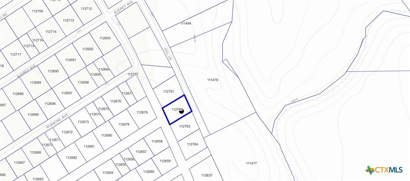 0.35 acres in McLennan County gallery image 4