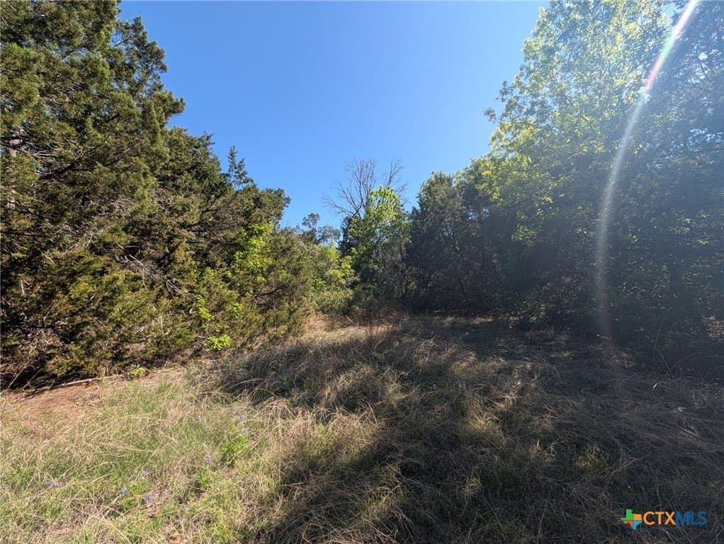 0.35 acres in McLennan County gallery image 2