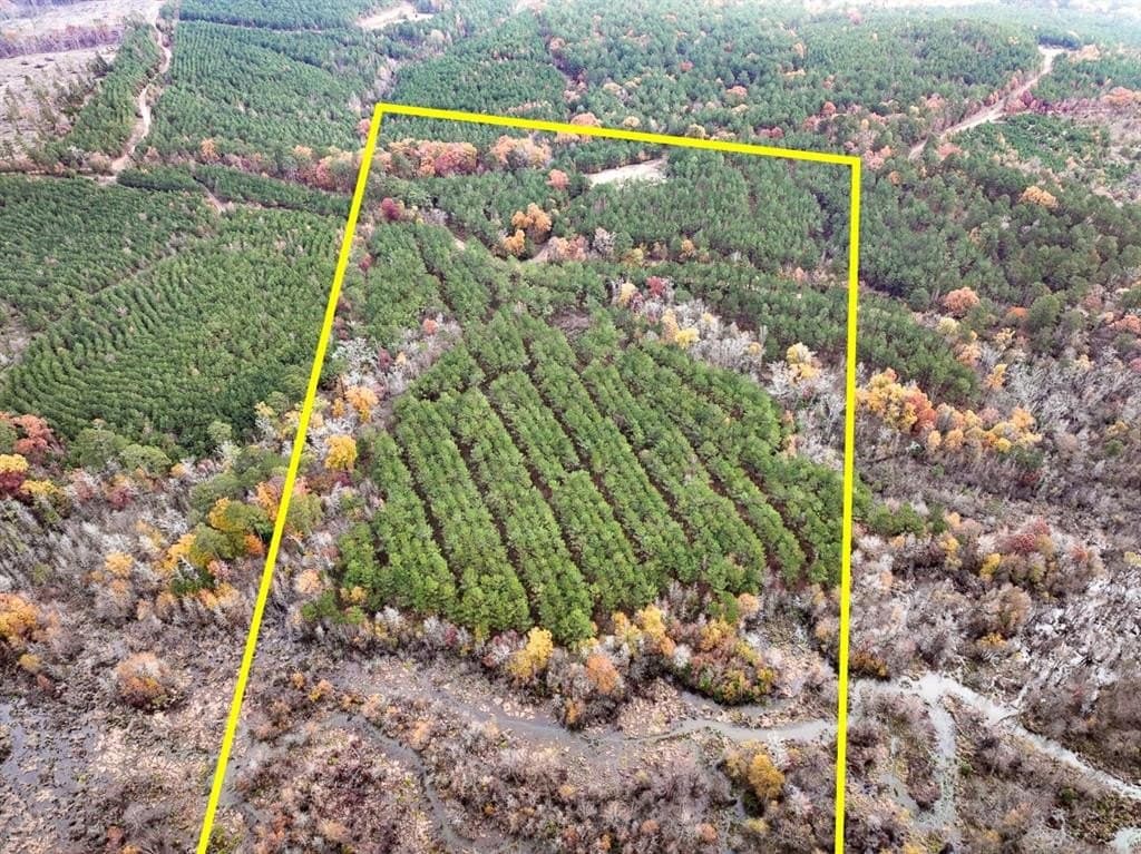 17.13 acres in Marion County
