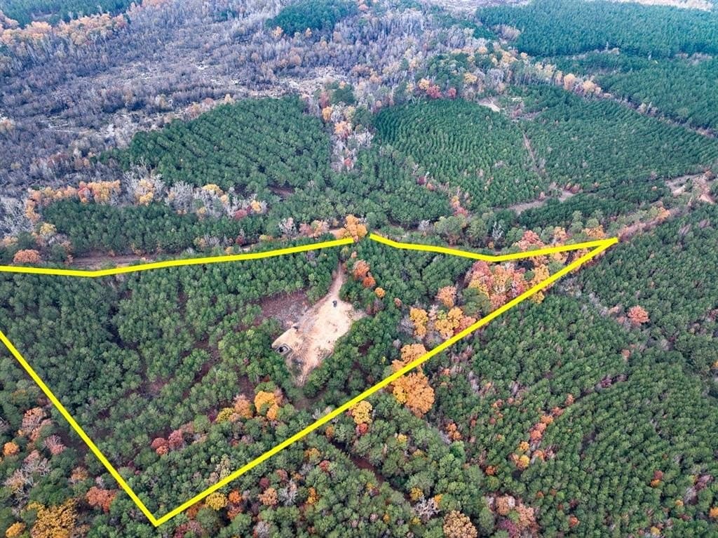 17.13 acres in Marion County gallery image 3