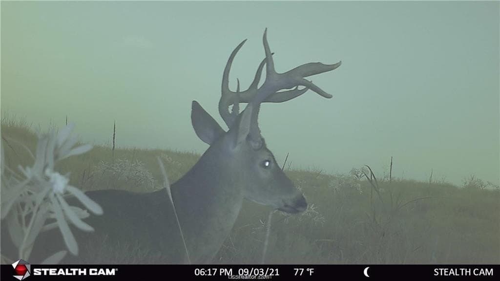 47.23 acres in Texas County gallery image 4