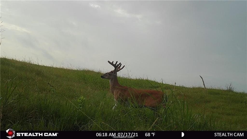 47.23 acres in Texas County - photo 15