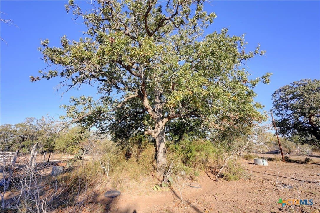 28 acres in Gonzales County - photo 7