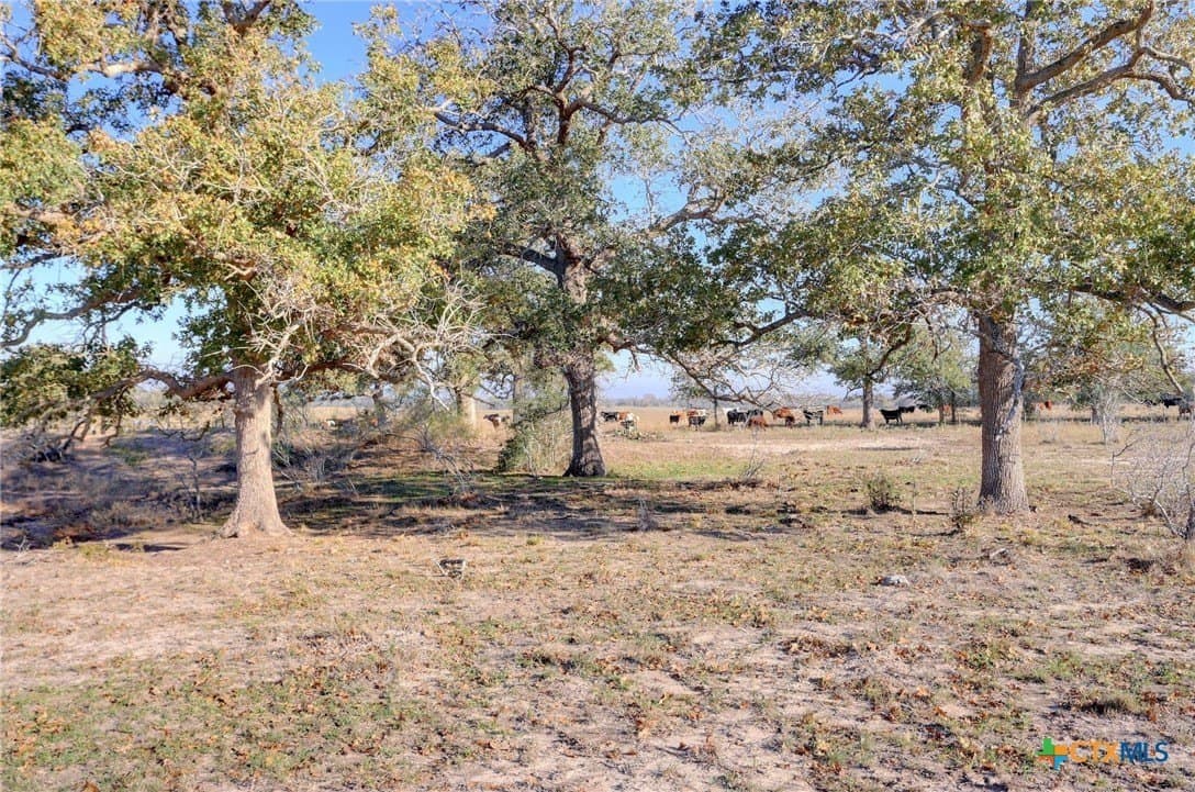 28 acres in Gonzales County - photo 13