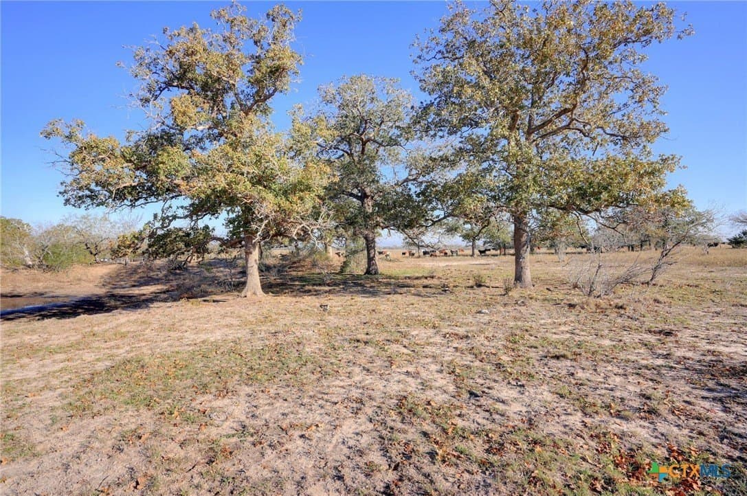 28 acres in Gonzales County - photo 12