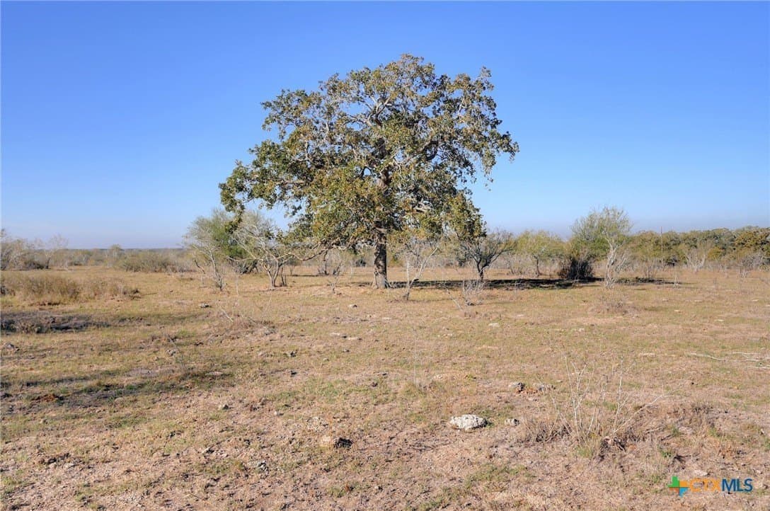 28 acres in Gonzales County - photo 21