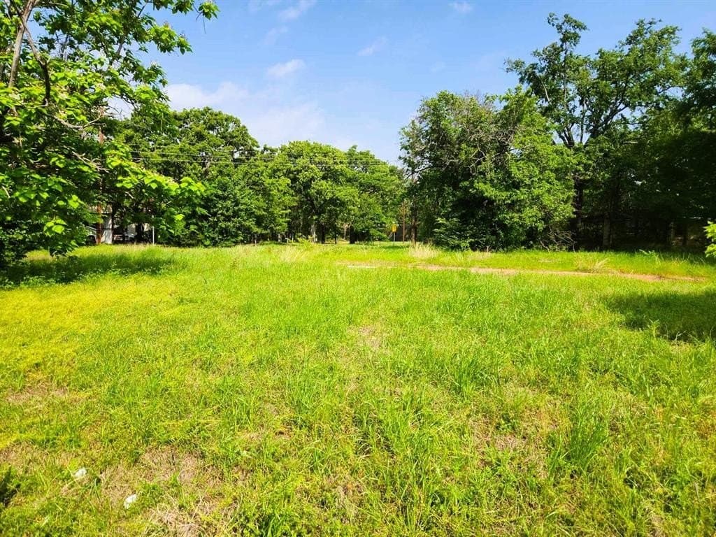 0.26 acres in Henderson County gallery image 2