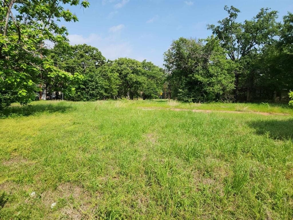 0.26 acres in Henderson County gallery image 4