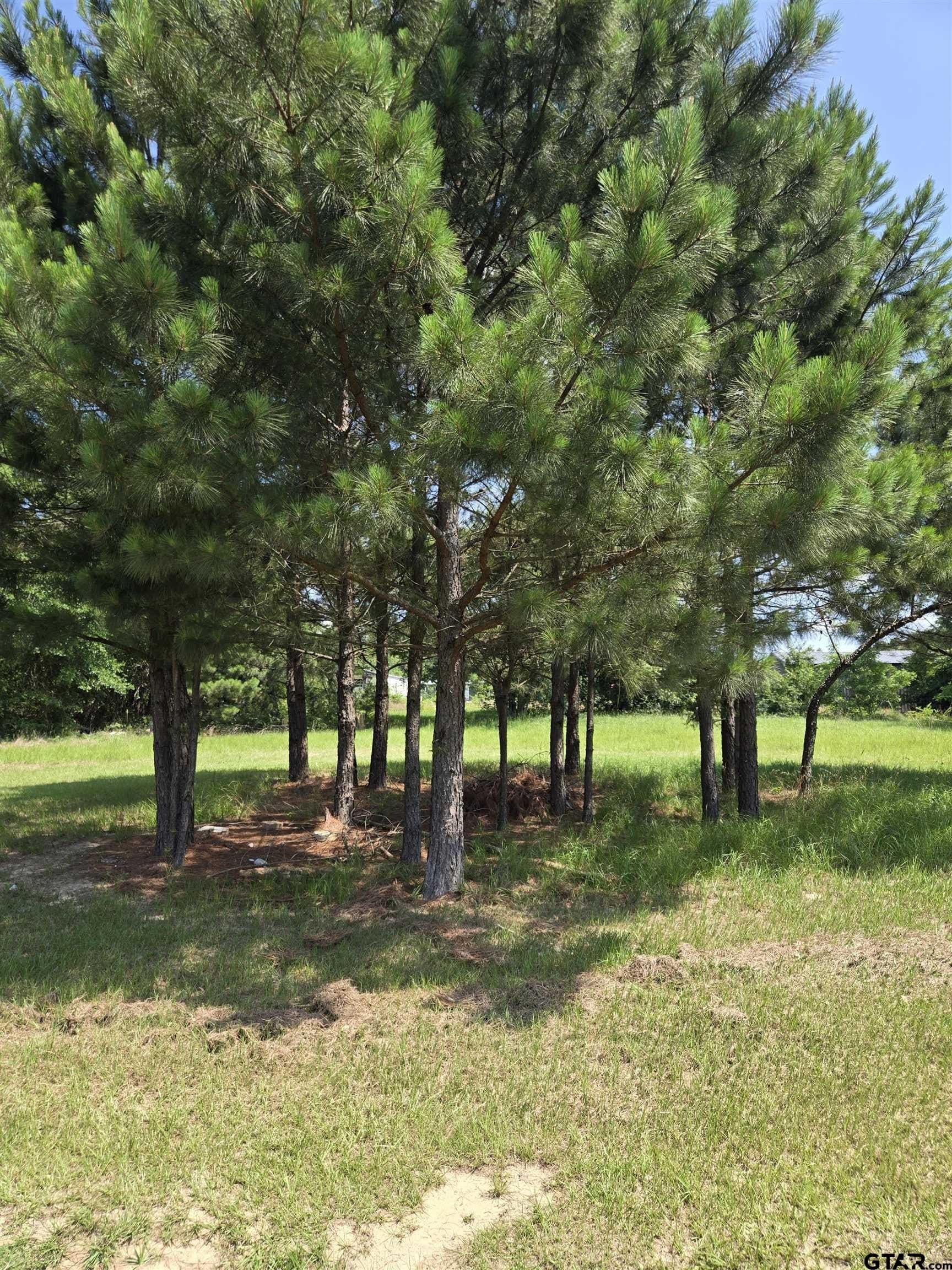 2 acres in Smith County gallery image 2