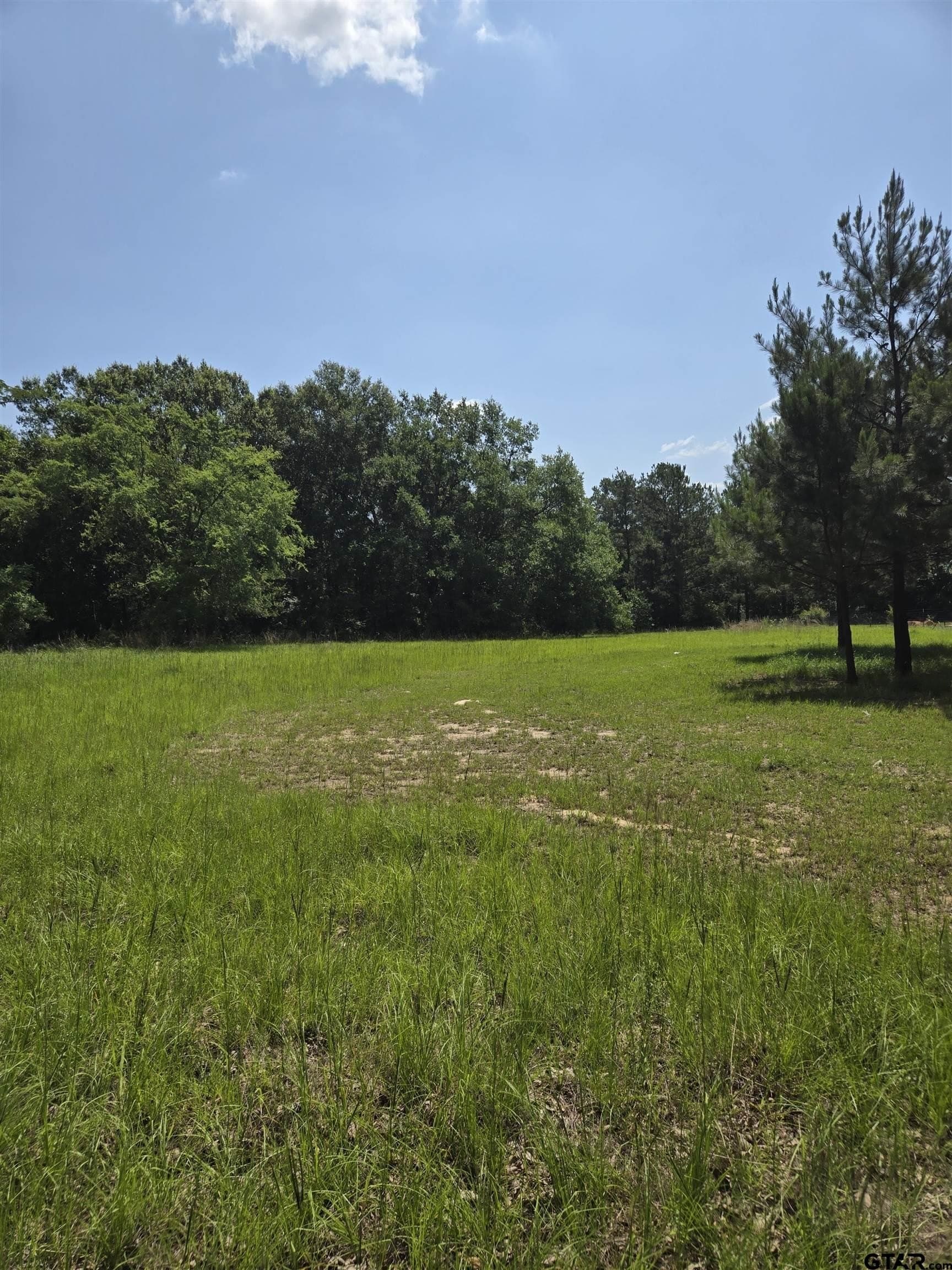 2 acres in Smith County - photo 7