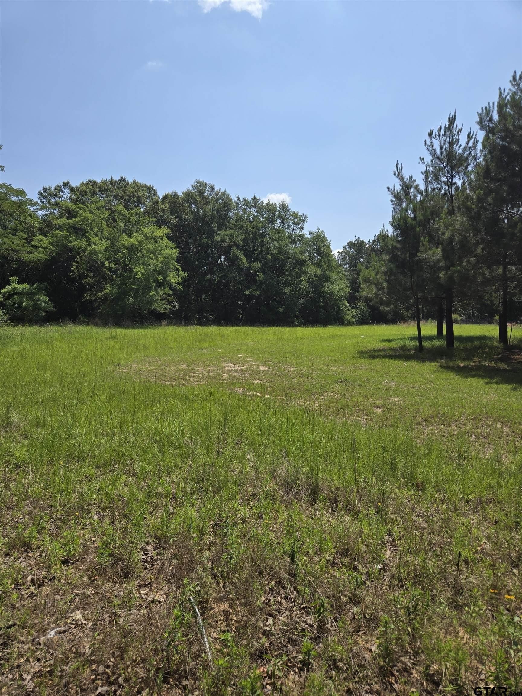 2 acres in Smith County - photo 6