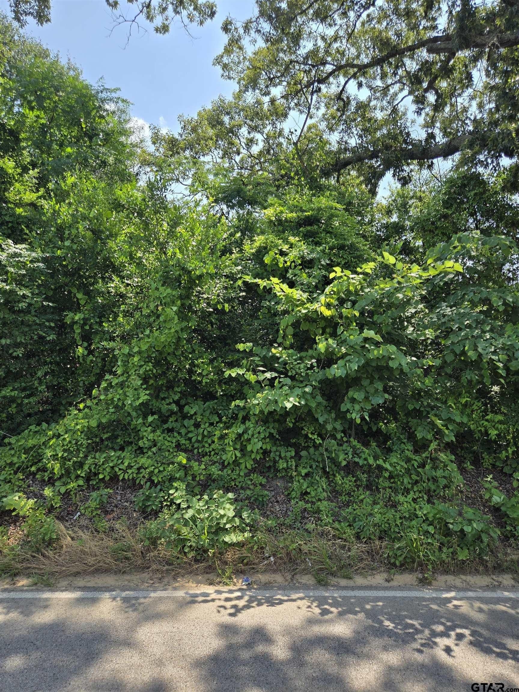 2 acres in Smith County