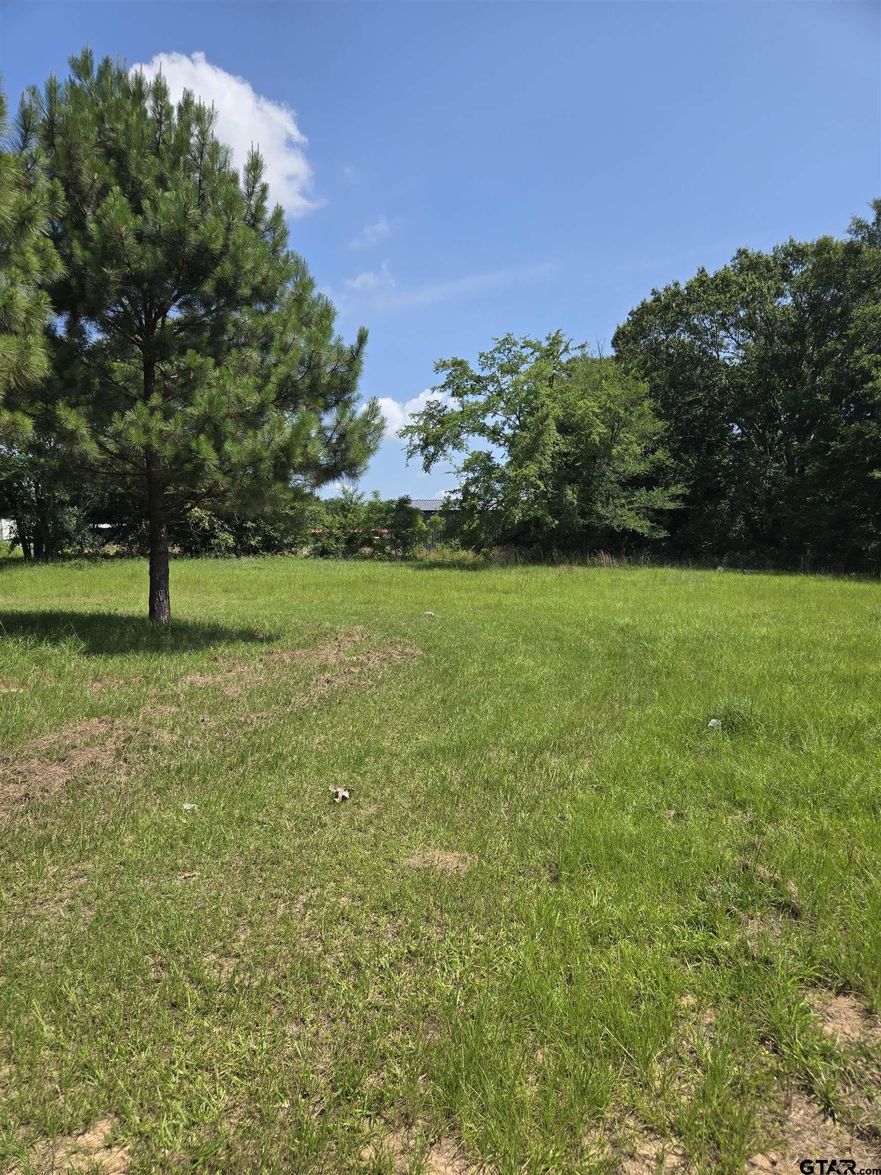 2 acres in Smith County gallery image 4