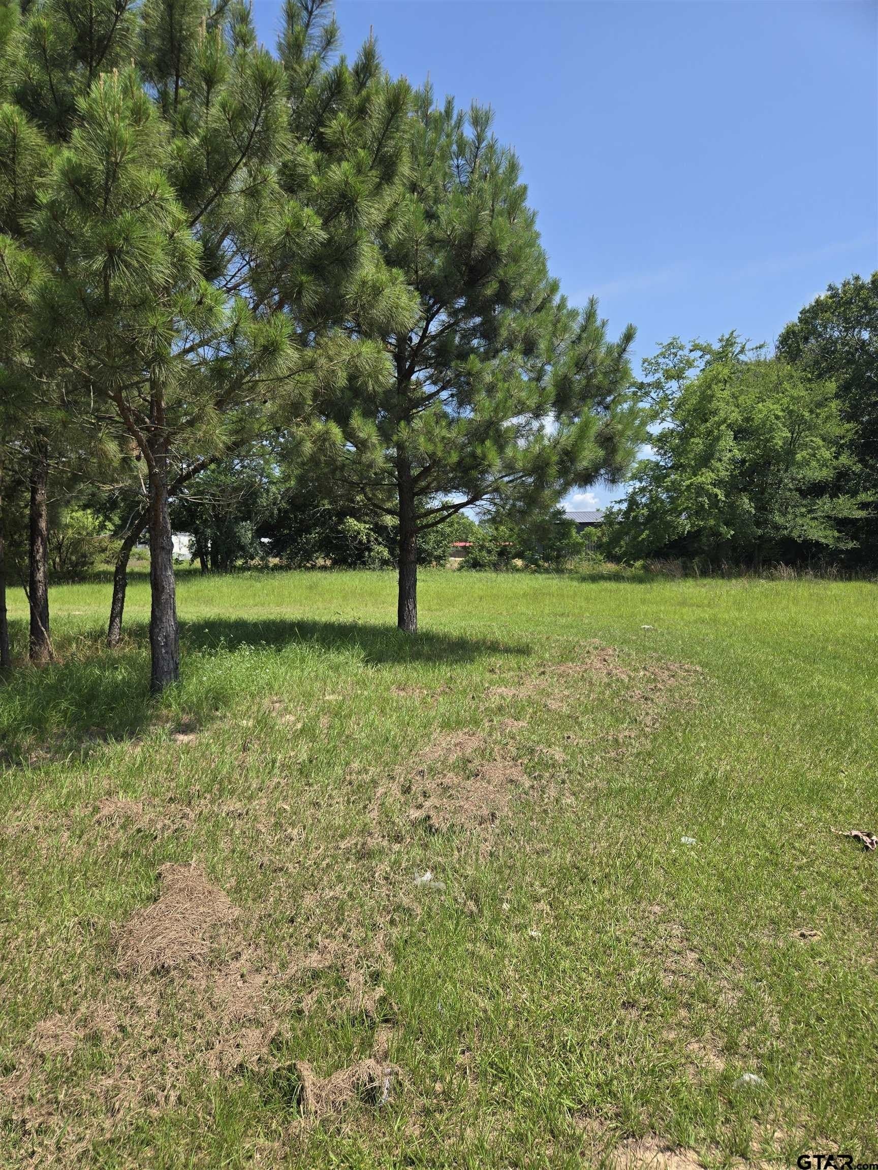 2 acres in Smith County gallery image 3