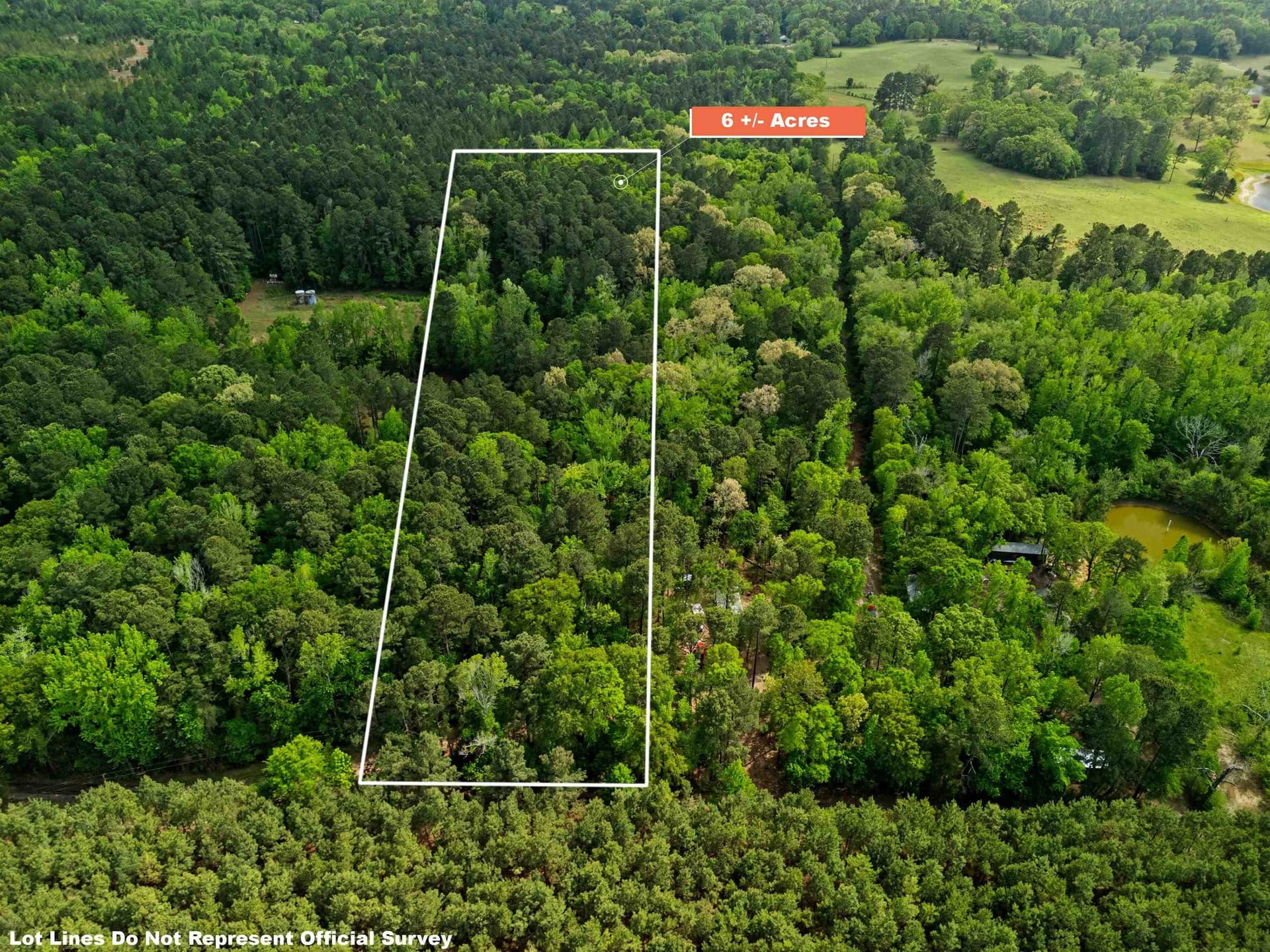 6 acres in Upshur County gallery image 3