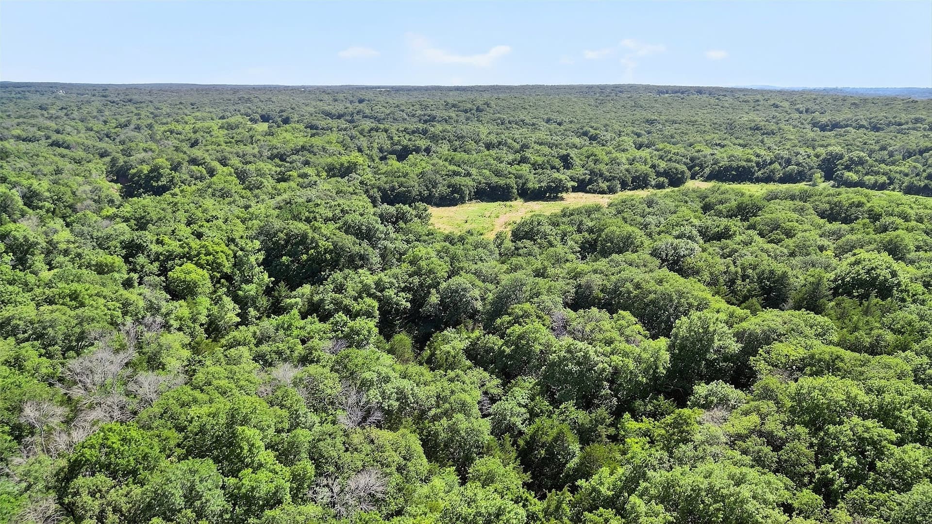 282.44 acres in Cooke County - photo 9